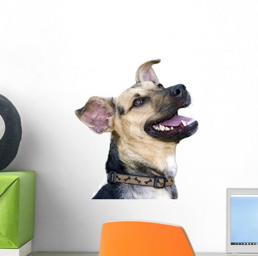 Happy Dog Wall Decal