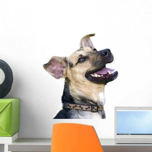 Happy Dog Wall Decal