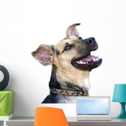 Happy Dog Wall Decal
