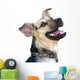 Happy Dog Wall Decal