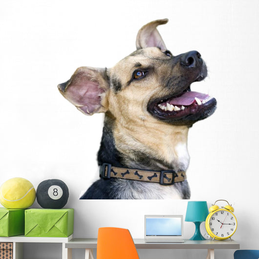 Happy Dog Wall Decal