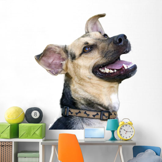 Happy Dog Wall Decal