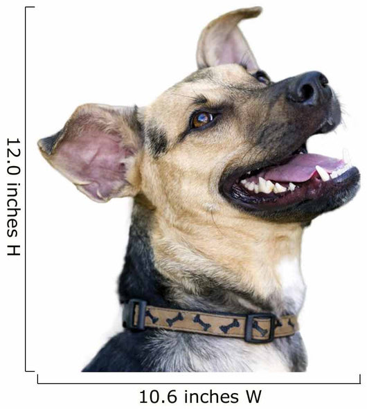 Happy Dog Wall Decal