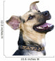 Happy Dog Wall Decal