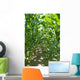 Corn Stalk Rows Wall Decal