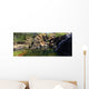 Gunlom Kakadu National Park Wall Decal