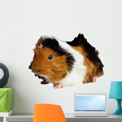 Hamster1 Wall Decal shown on a wall