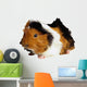 Hamster1 Wall Decal