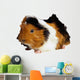 Hamster1 Wall Decal