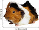 Hamster1 Wall Decal