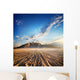 Mountains Desert Wall Decal