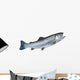 Rainbow Trout Wall Decal