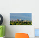 Boise Balloon Festival and Wall Decal