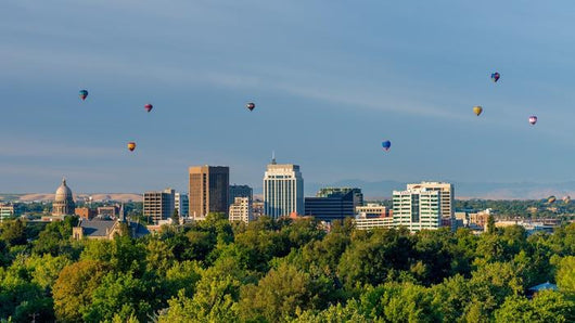 Boise Balloon Festival and Wall Decal