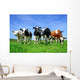 Colorful Dairy Cows Wall Decal