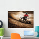 Atv Rider Wall Decal