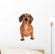Little Dachshund Dog Wall Decal