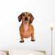 Little Dachshund Dog Wall Decal