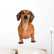 Little Dachshund Dog Wall Decal