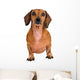 Little Dachshund Dog Wall Decal