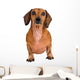 Little Dachshund Dog Wall Decal