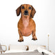 Little Dachshund Dog Wall Decal