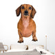 Little Dachshund Dog Wall Decal