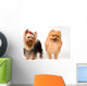 Spitz and Terrier Studio Wall Decal