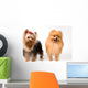 Spitz and Terrier Studio Wall Decal