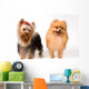 Spitz and Terrier Studio Wall Decal