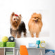 Spitz and Terrier Studio Wall Decal