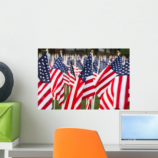 Stars and Stripes Wall Decal