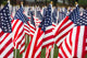 Stars and Stripes Wall Decal