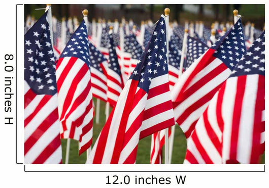 Stars and Stripes Wall Decal