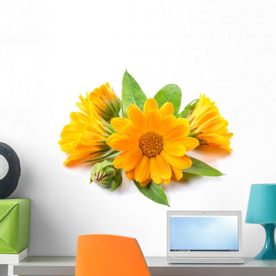 Yellow Calendula Flower Wall Decal shown on a wall