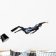 Female Diver Wall Decal