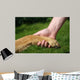 Friendship Wall Decal