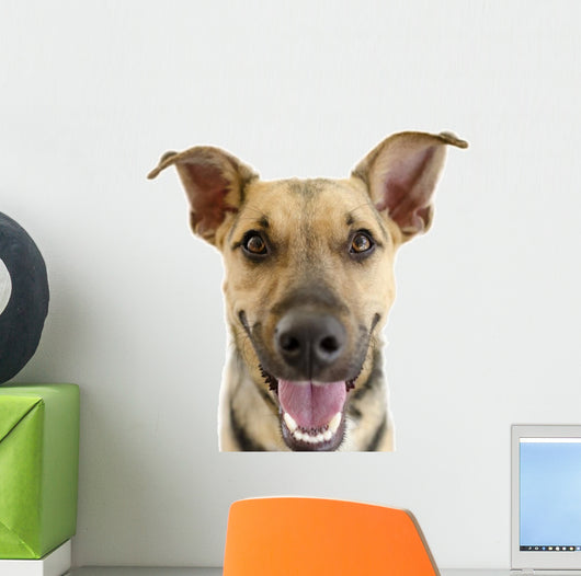 Happy Dog Face Wall Decal