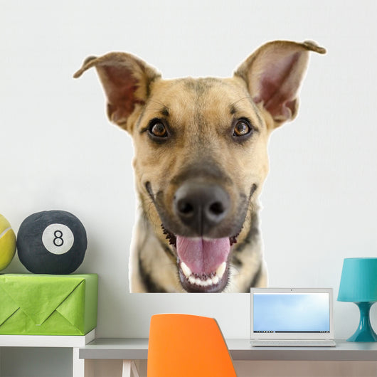Happy Dog Face Wall Decal