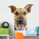Happy Dog Face Wall Decal