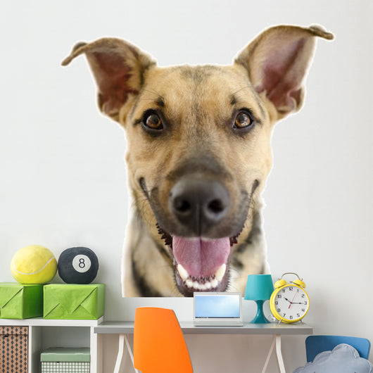 Happy Dog Face Wall Decal