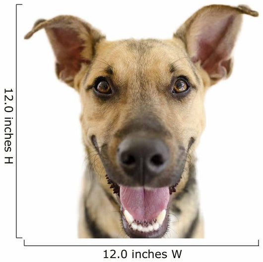 Happy Dog Face Wall Decal