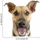 Happy Dog Face Wall Decal