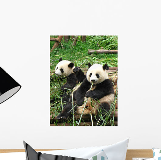 China Sichuan Giant Panda Vertical Wall Decal