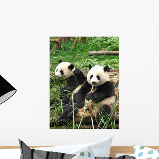 China Sichuan Giant Panda Vertical Wall Decal