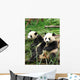 China Sichuan Giant Panda Vertical Wall Decal