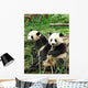 China Sichuan Giant Panda Vertical Wall Decal