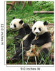 China Sichuan Giant Panda Vertical Wall Decal
