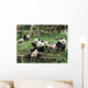 China Sichuan Giant Panda Wall Decal