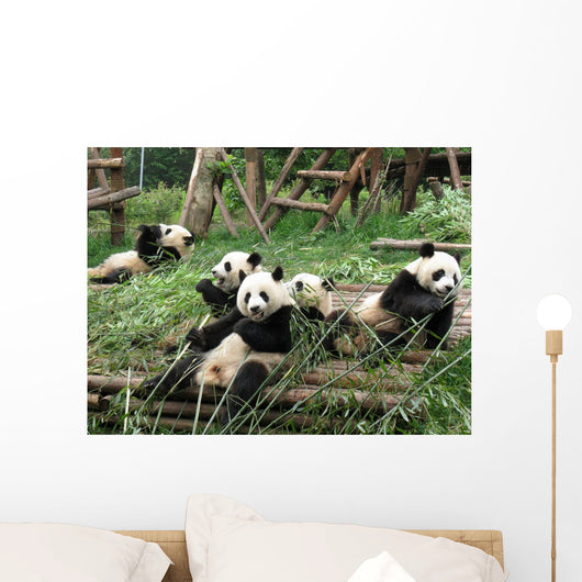 China Sichuan Giant Panda Wall Decal